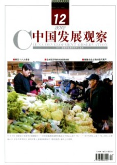 中国发展观察杂志