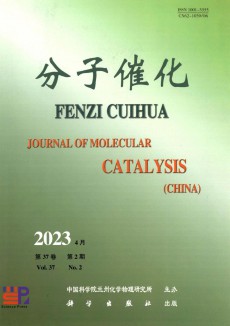 分子催化杂志