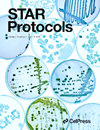 Star Protocols