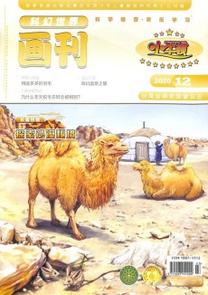 小牛顿杂志