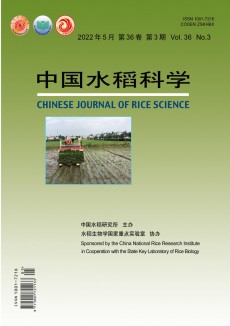 中国水稻科学杂志